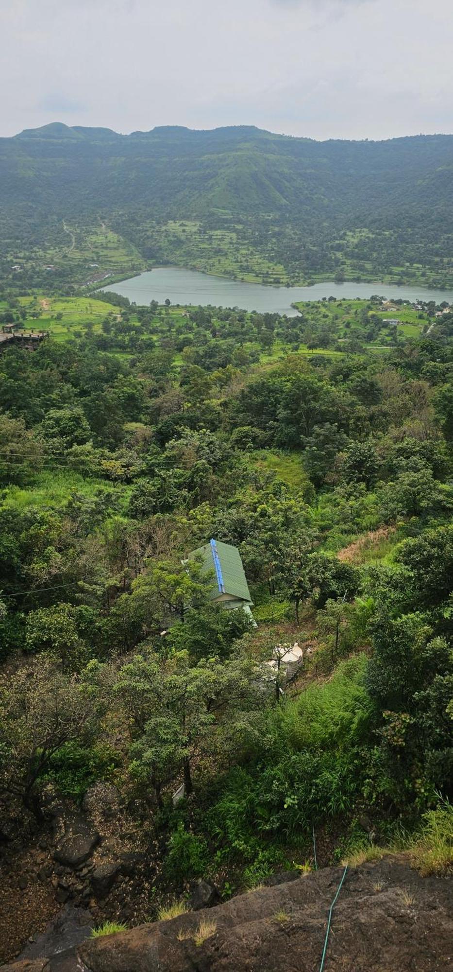 הוילה פונה Forest Den מראה חיצוני תמונה